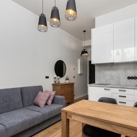Duoloft Studio Apartment Lovisa Casa With Gym And Terrace Тарту Екстериор снимка