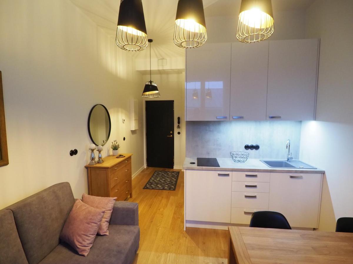 Duoloft Studio Apartment Lovisa Casa With Gym And Terrace Тарту Екстериор снимка