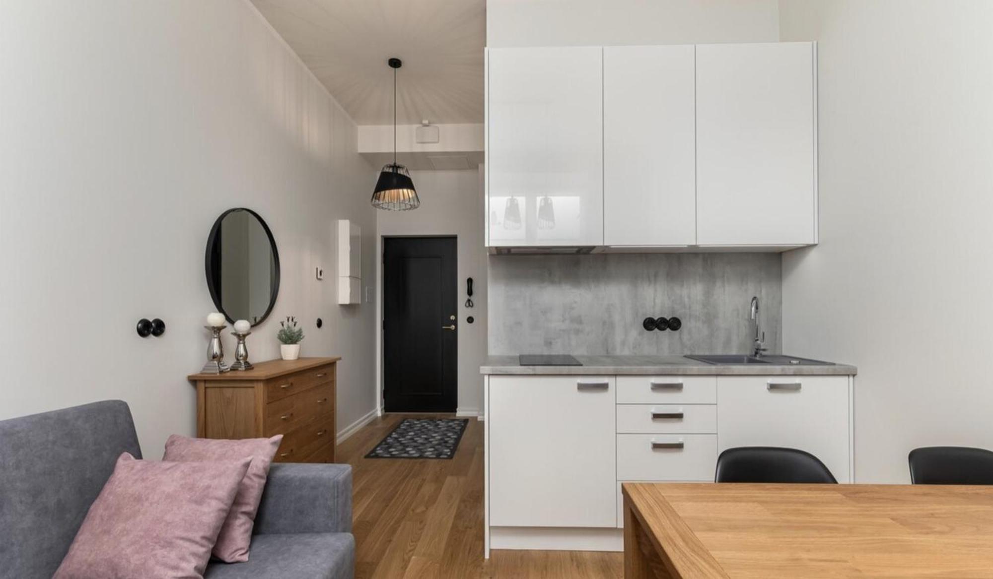Duoloft Studio Apartment Lovisa Casa With Gym And Terrace Тарту Екстериор снимка