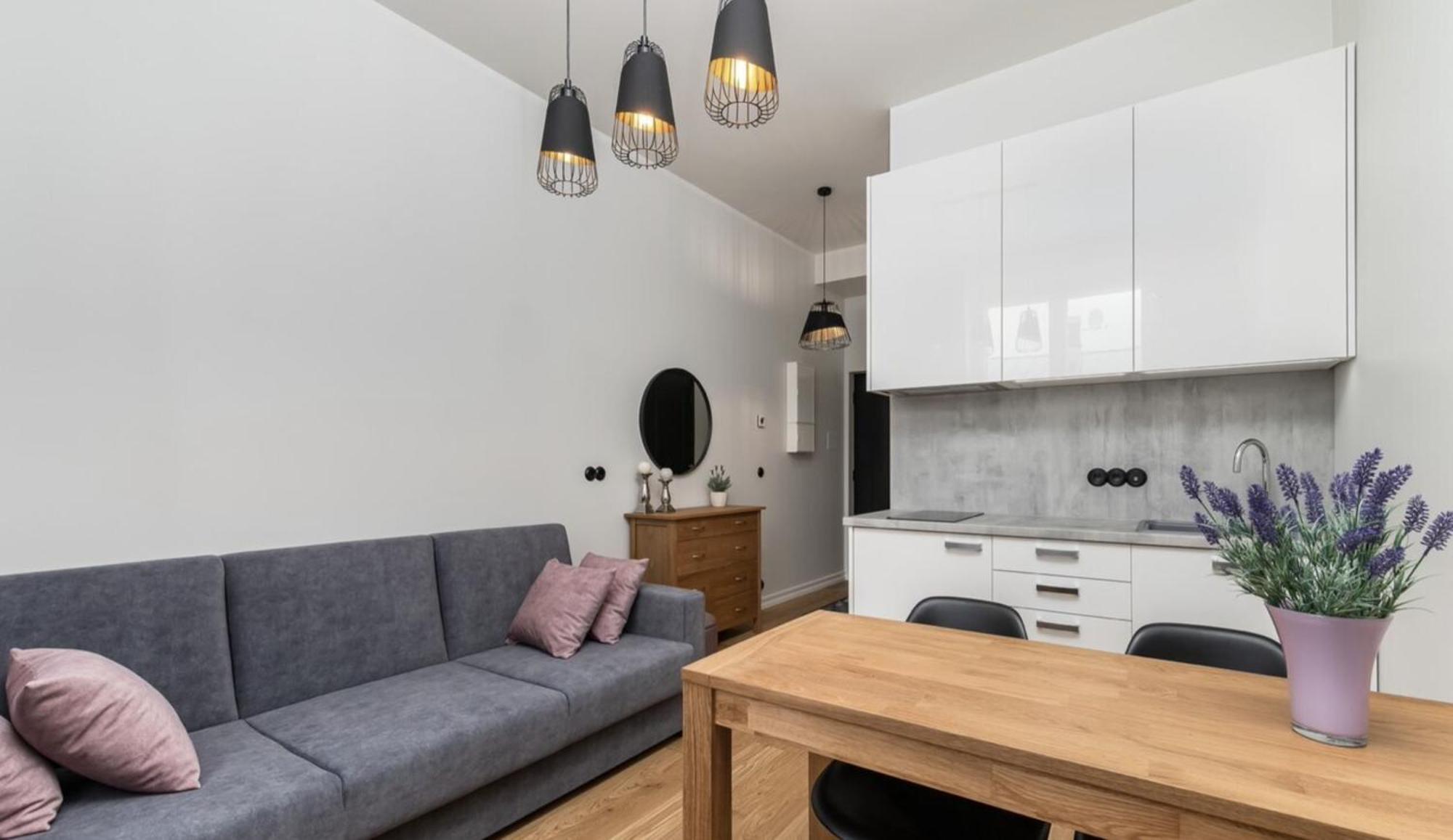 Duoloft Studio Apartment Lovisa Casa With Gym And Terrace Тарту Екстериор снимка